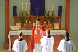 Palm Sunday 2012